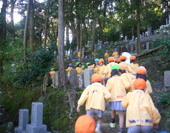 みんなで枝・落ち葉拾い 場所「裏山」
