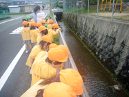 お魚いないかな〜?