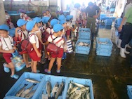 たくさんのお魚を見せていただきました。タコさんやトビウオなどいろんなお魚がいたね。