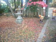 H25 12月5日 大森神社までお散歩に出かけました!