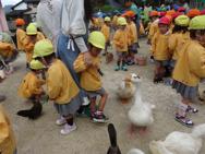こども動物園