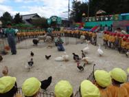 こども動物園