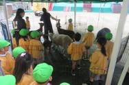「子ども動物園」