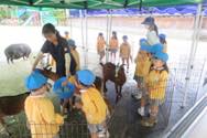 「子ども動物園」